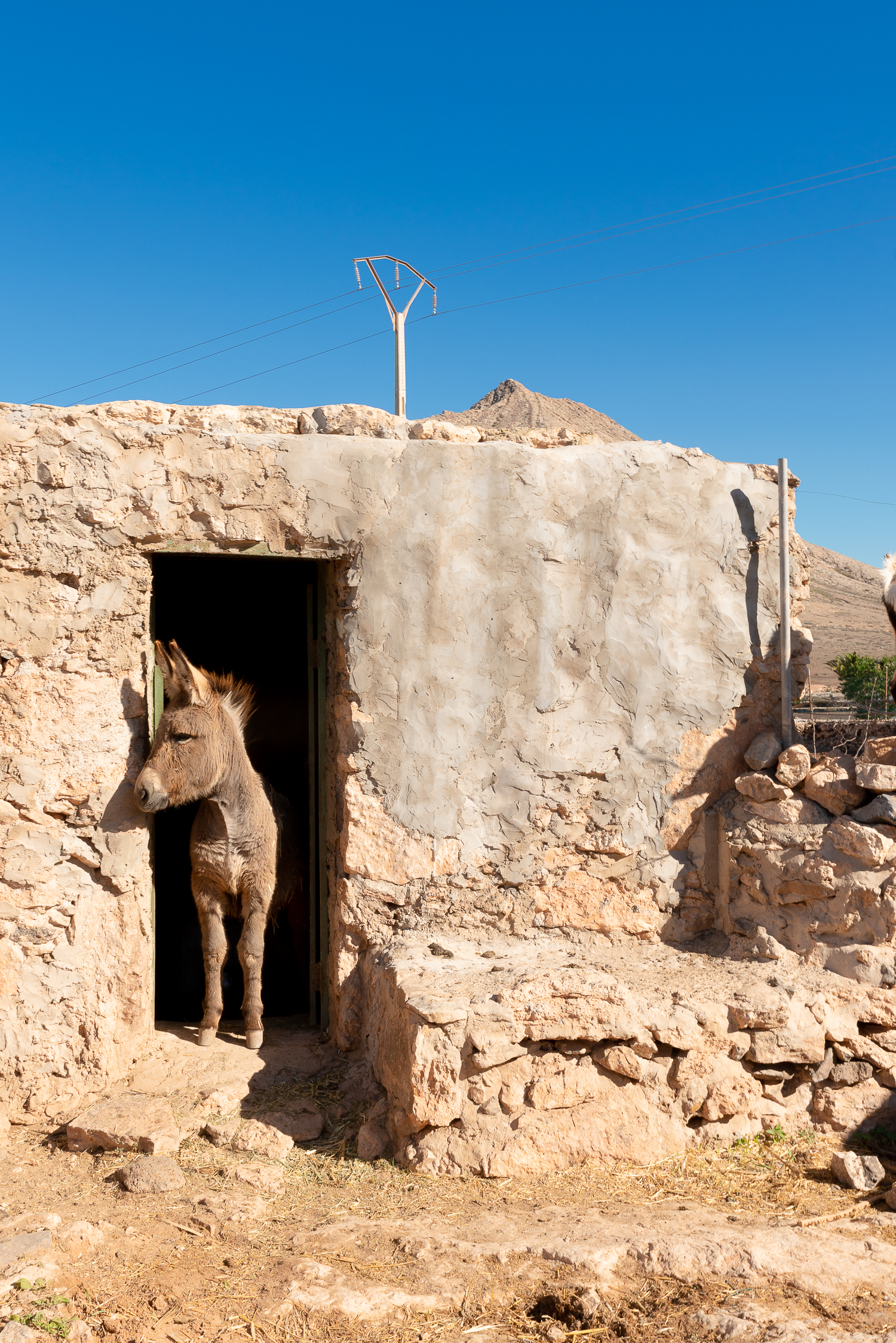 Fotografia pubblicitaria — Tommaso Monechi