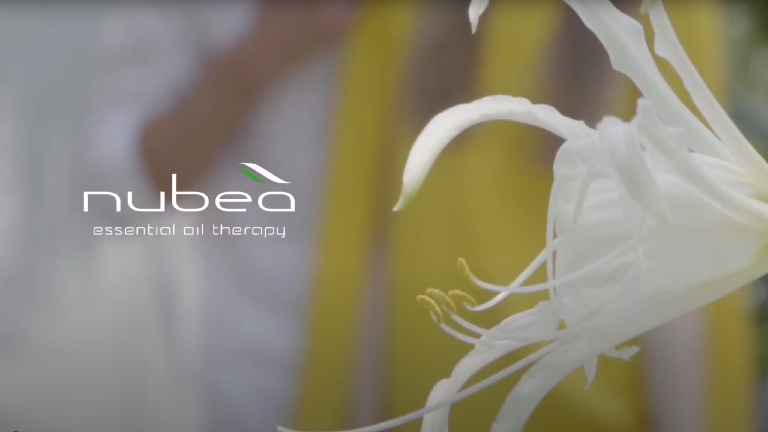 Campagna pubblicitaria Nubea — fotografia Tommaso Monechi