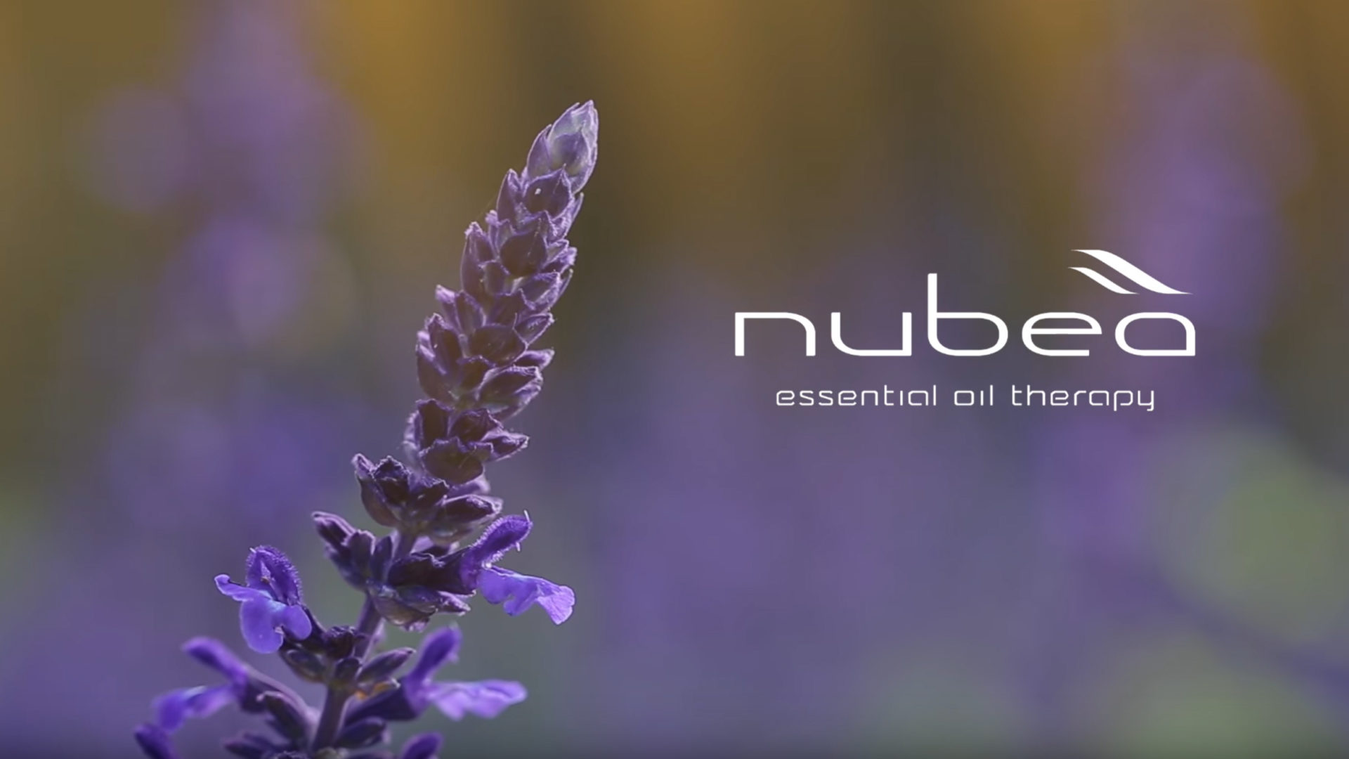 Campagna pubblicitaria Nubea — fotografia Tommaso Monechi